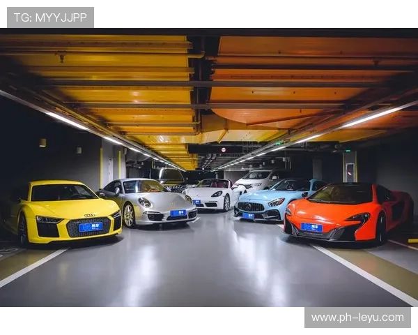 孙兴慜场下的豪车库，普通人都只敢远观不敢近看了吧？