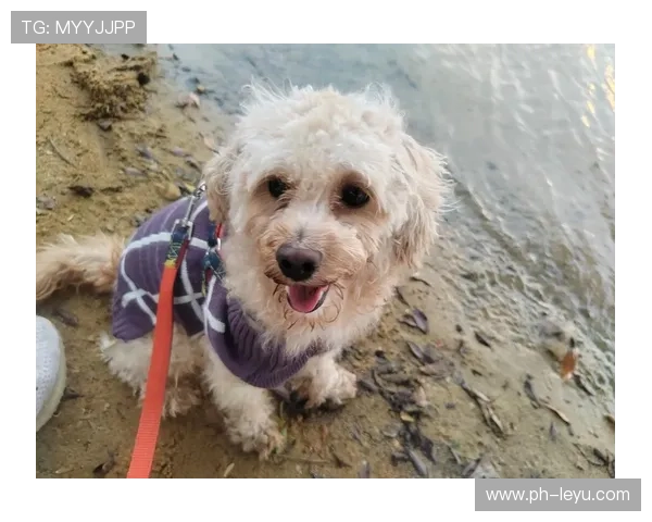 苏亚雷斯又开始了，谁能想到他私下居然这么会宠狗？